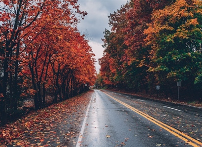October Check-In: Why Strong Travel Protection Partnerships Matter More Than Ever