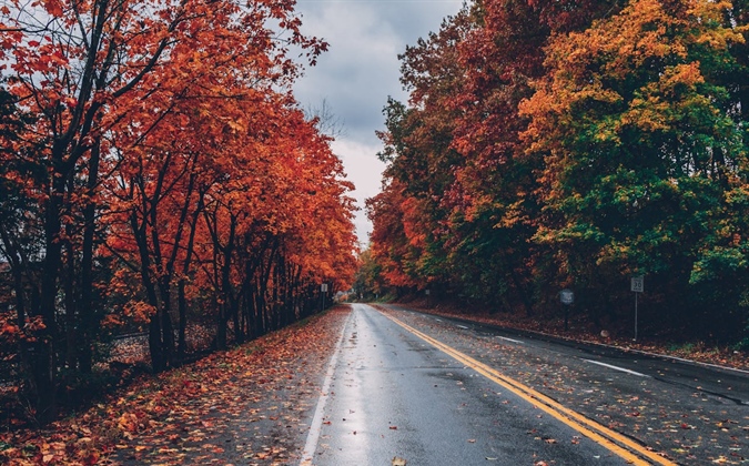 October Check-In: Why Strong Travel Protection Partnerships Matter More Than Ever