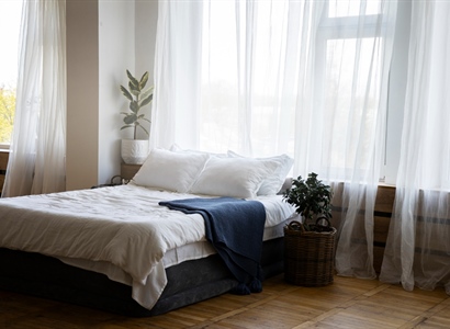 A Beginner’s Guide to Bed Bugs