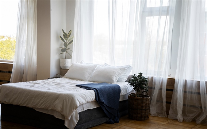 A Beginner’s Guide to Bed Bugs