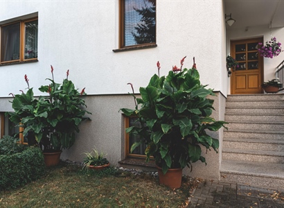 The Importance of Curb Appeal